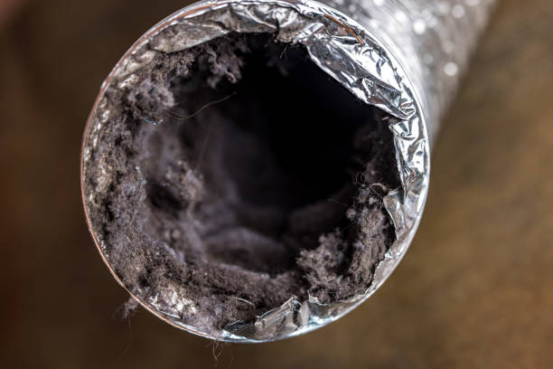 Best Local Air Duct Cleaning Services  in Columbia Falls, MT